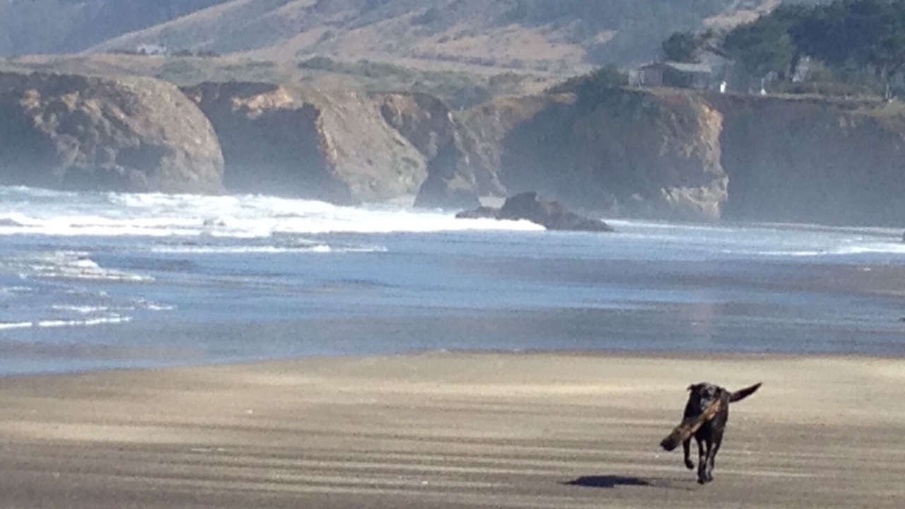 Photo of Others in Fort Bragg