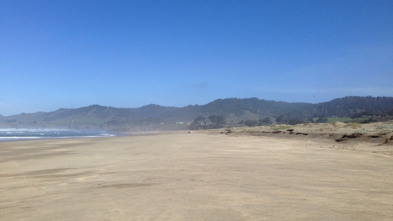 Photo of Others in Fort Bragg