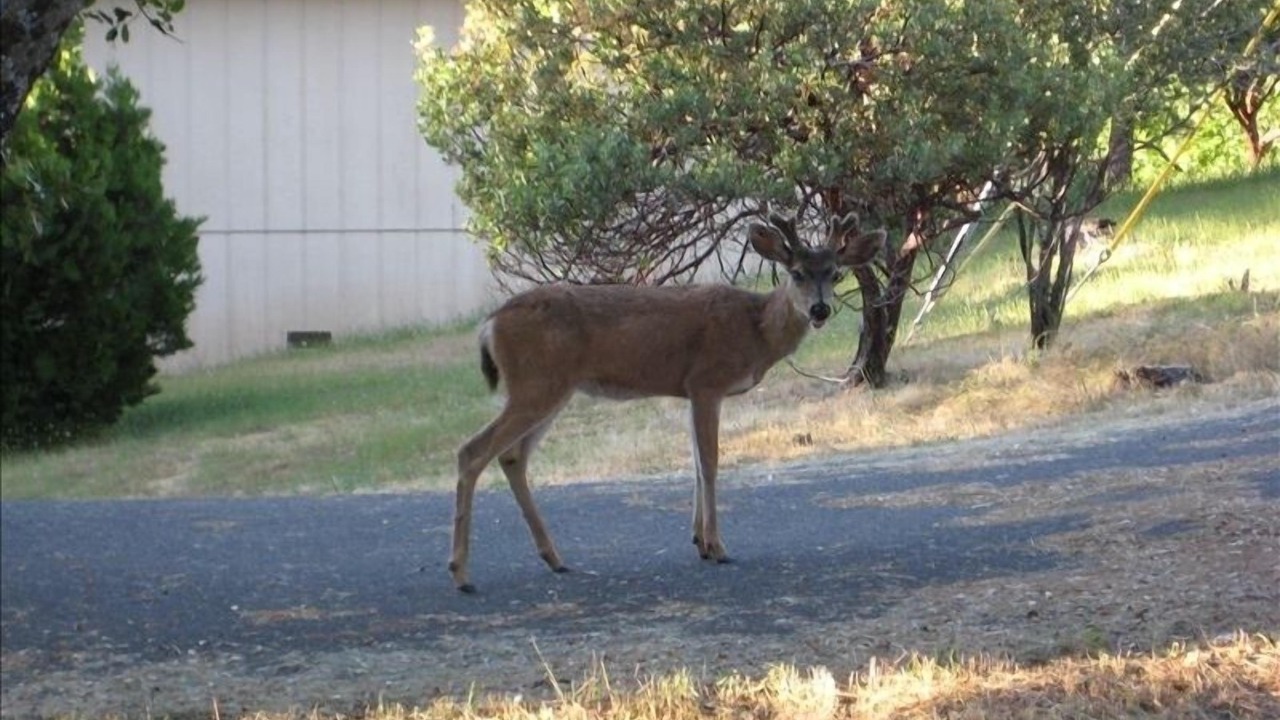 Photo of Others in Groveland