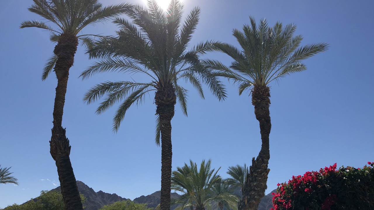 Photo of Outdoor in Indian Wells
