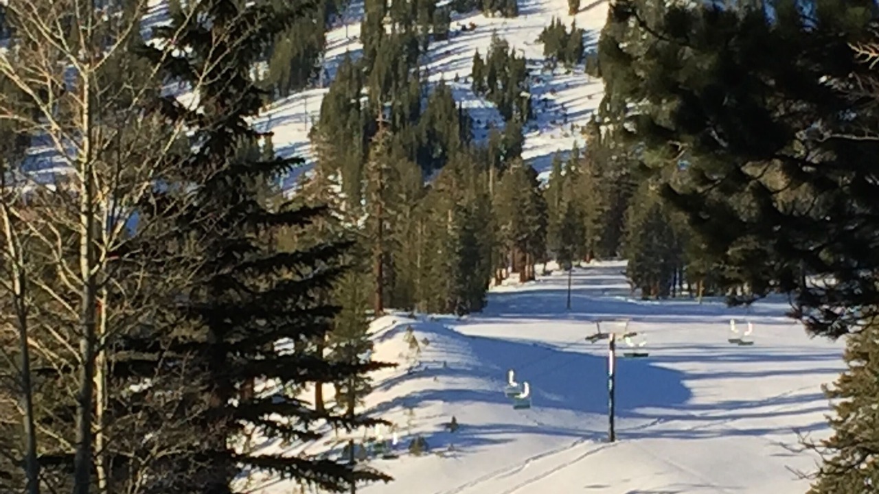 Photo of Others in Mammoth Lakes