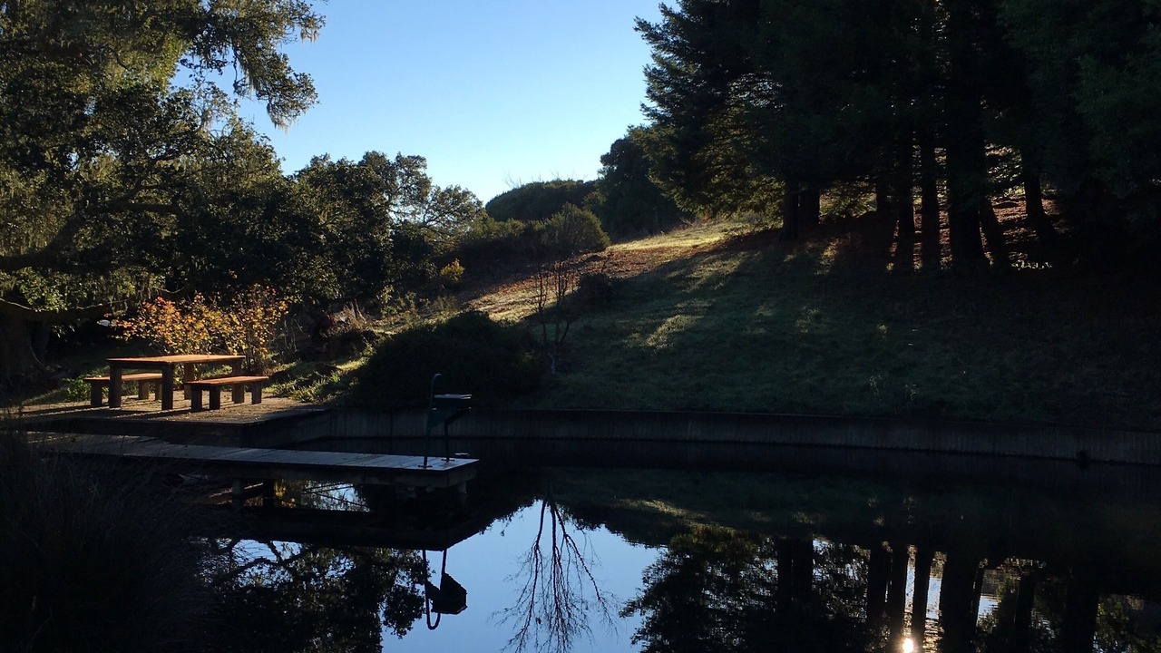 Photo of Others in Nicasio