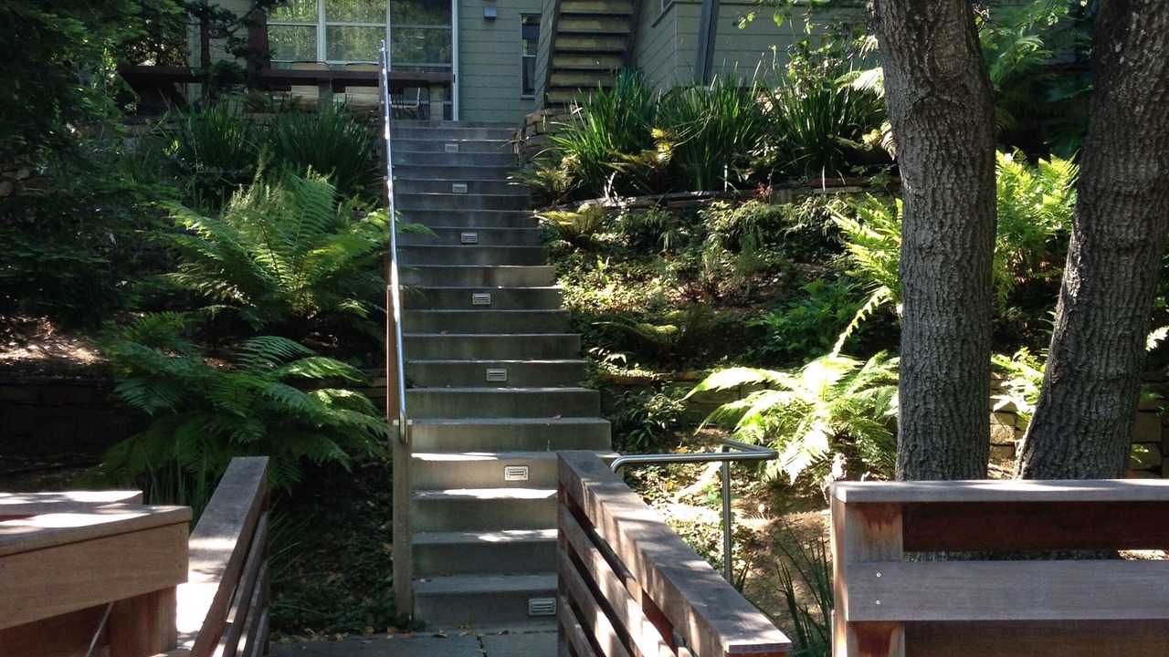 Photo of Others in Mill Valley