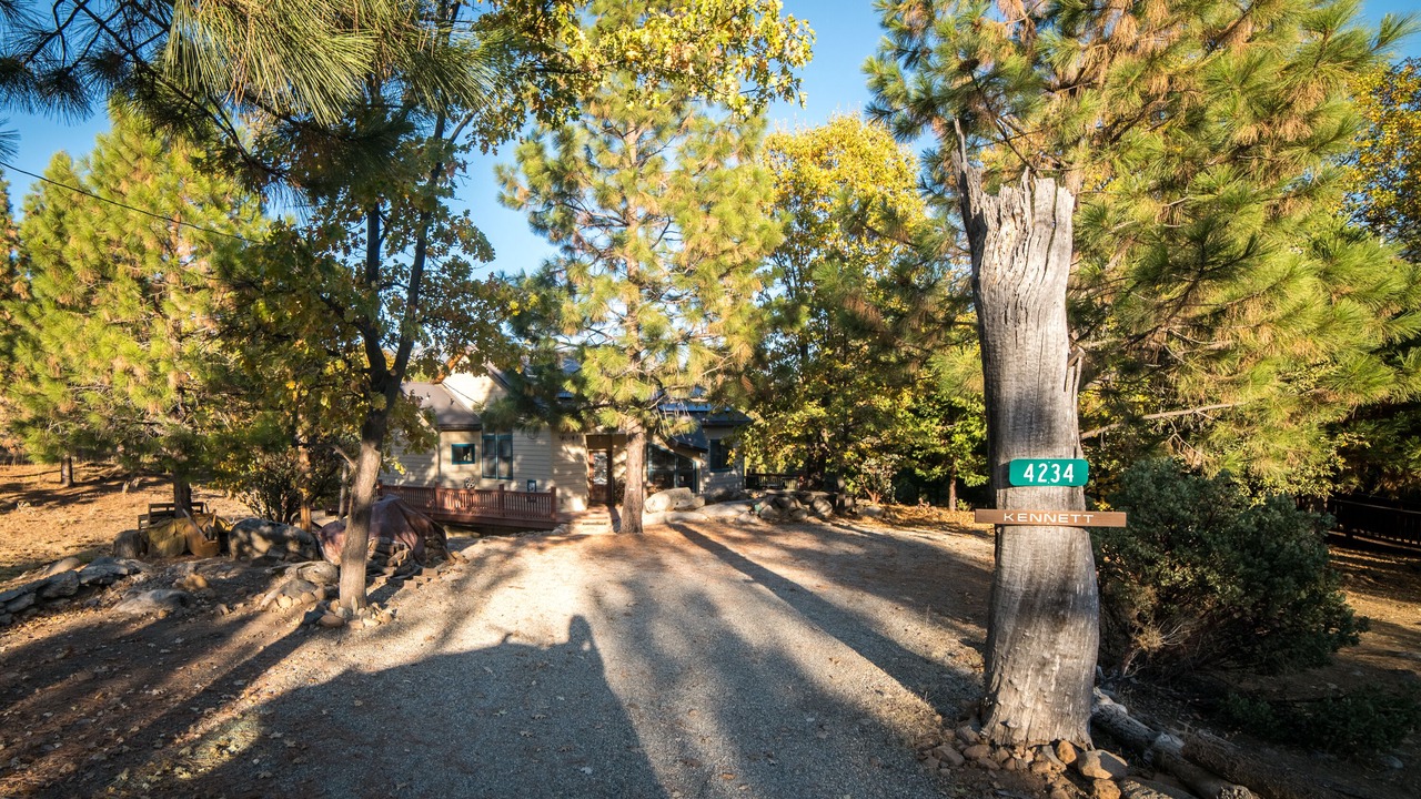 Photo of Others in Foresta