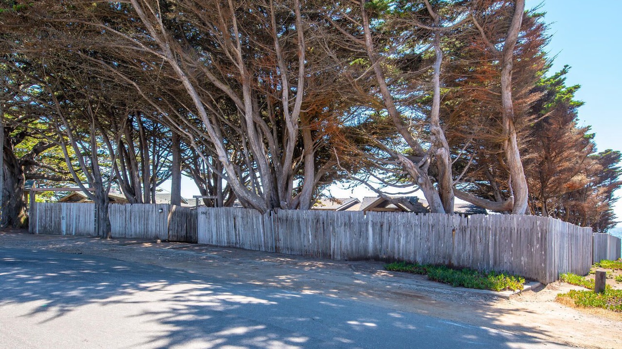 Photo of Outdoor in San Simeon