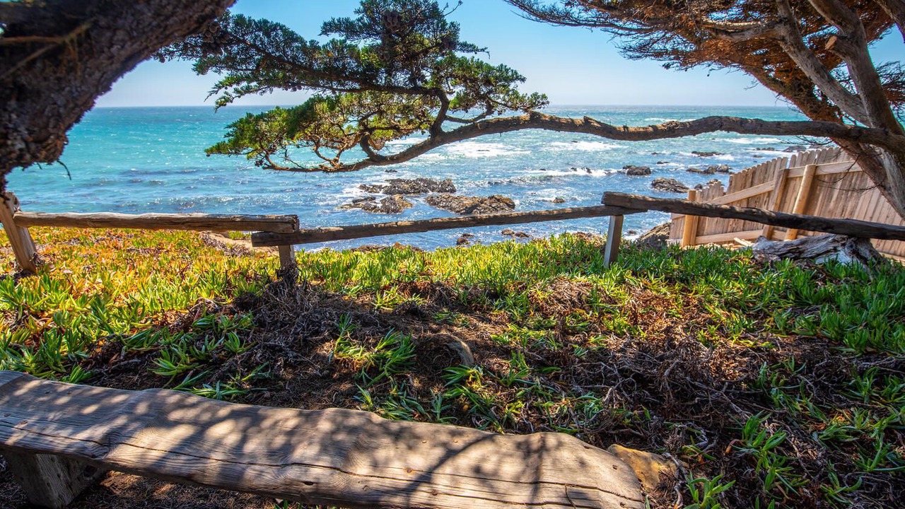 Photo of Outdoor in San Simeon