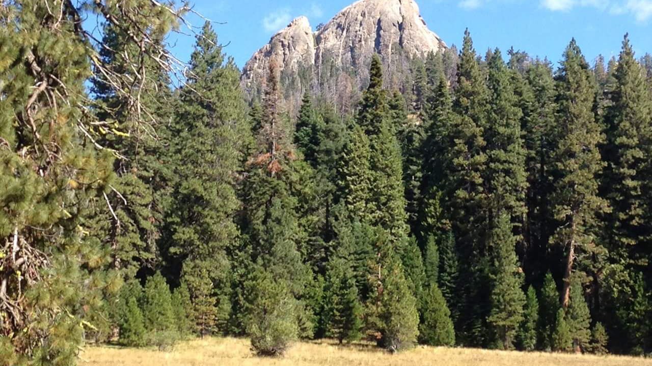 Photo of Others in Coarsegold
