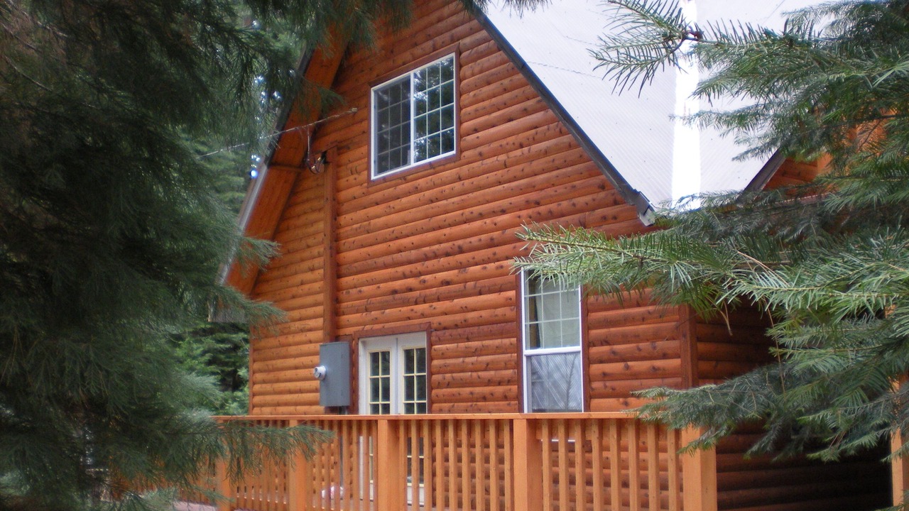 Photo of Outdoor in Fish Camp