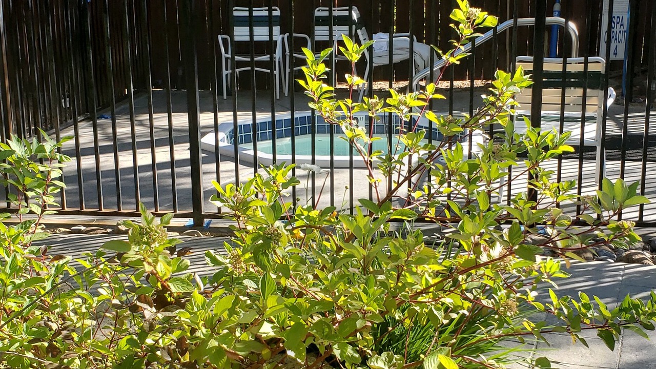 Photo of Outdoor in Incline Village