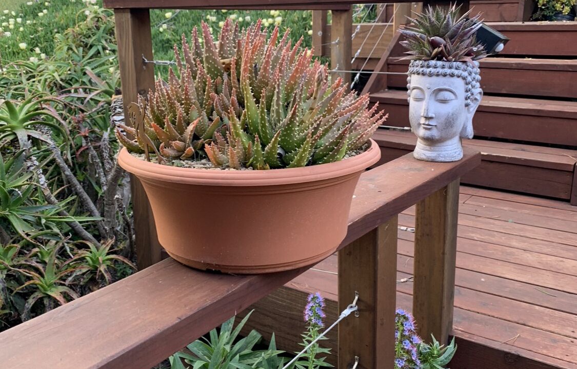 Photo of Outdoor in Happy Hill