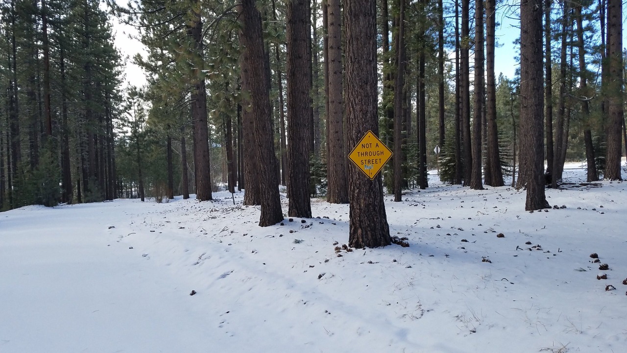 Photo of Outdoor in Montgomery Estates