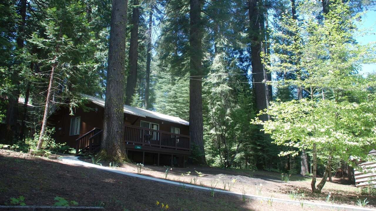 Photo of Others in Fish Camp