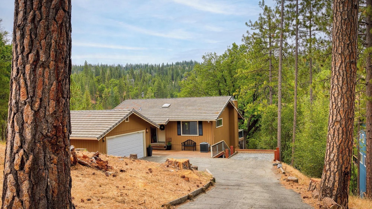 Photo of Outdoor in Groveland