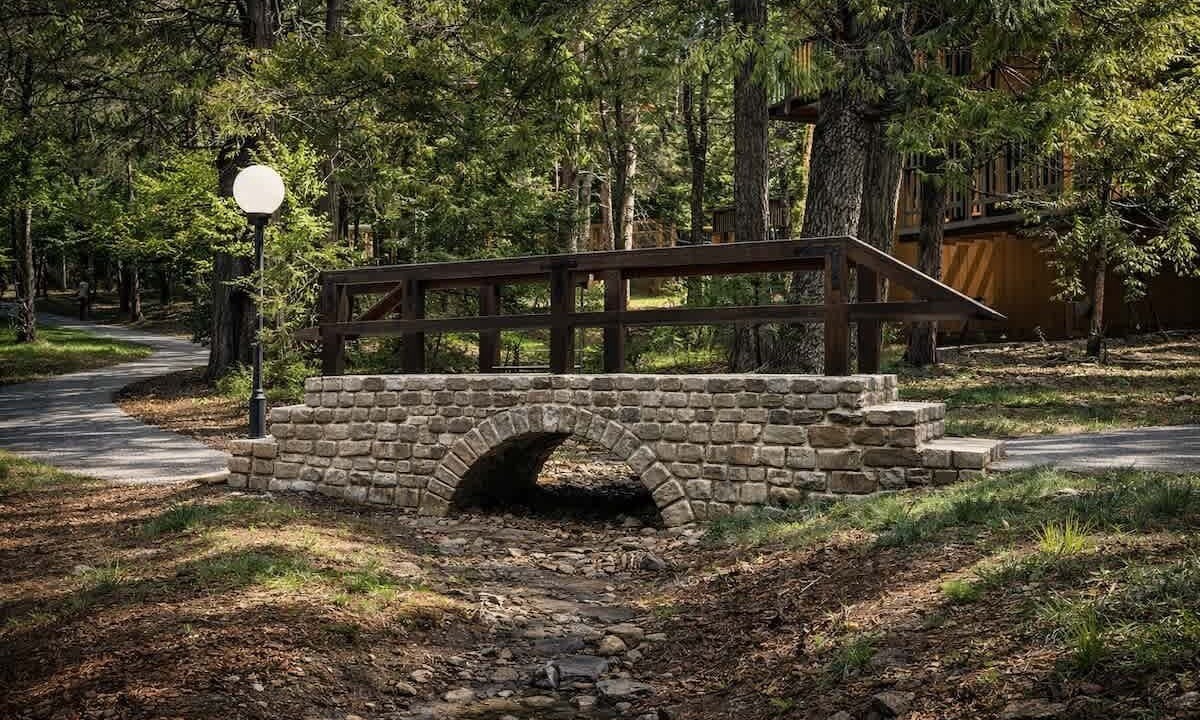 Photo of Outdoor in Shaver Lake