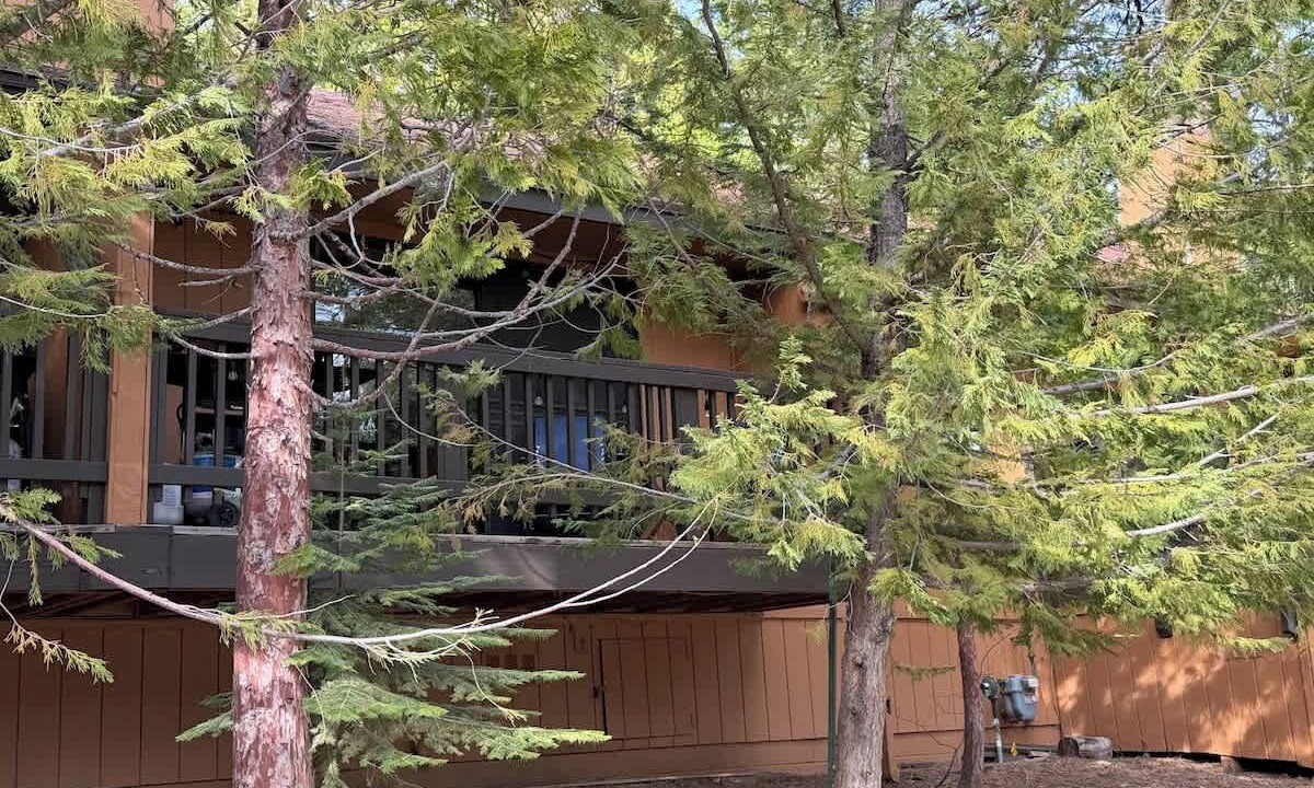 Photo of Outdoor in Shaver Lake