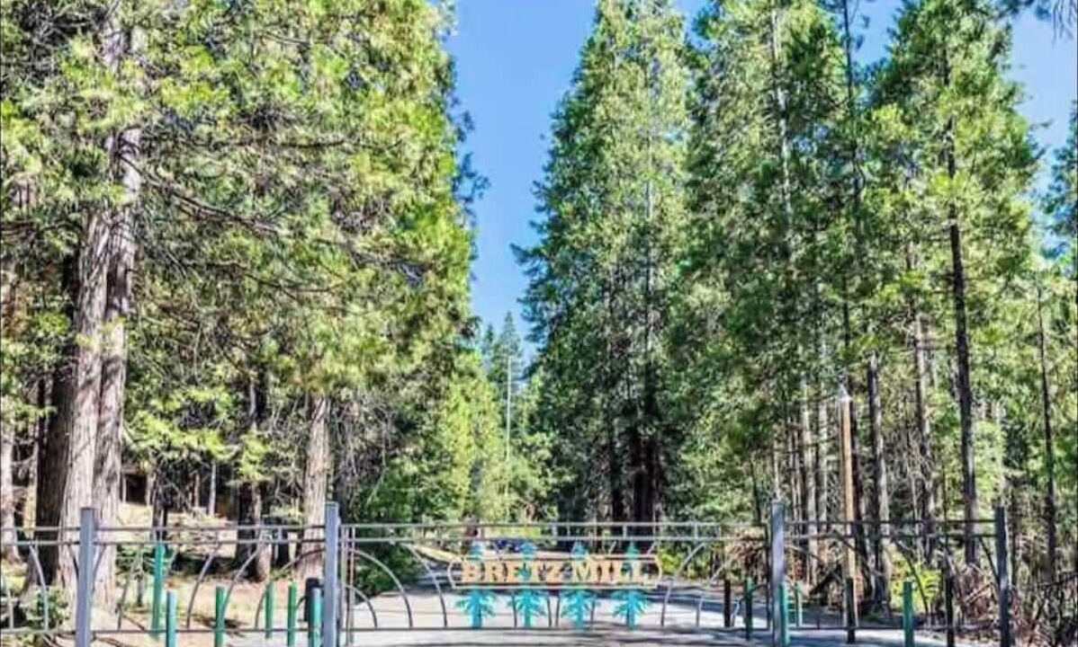 Photo of Others in Shaver Lake