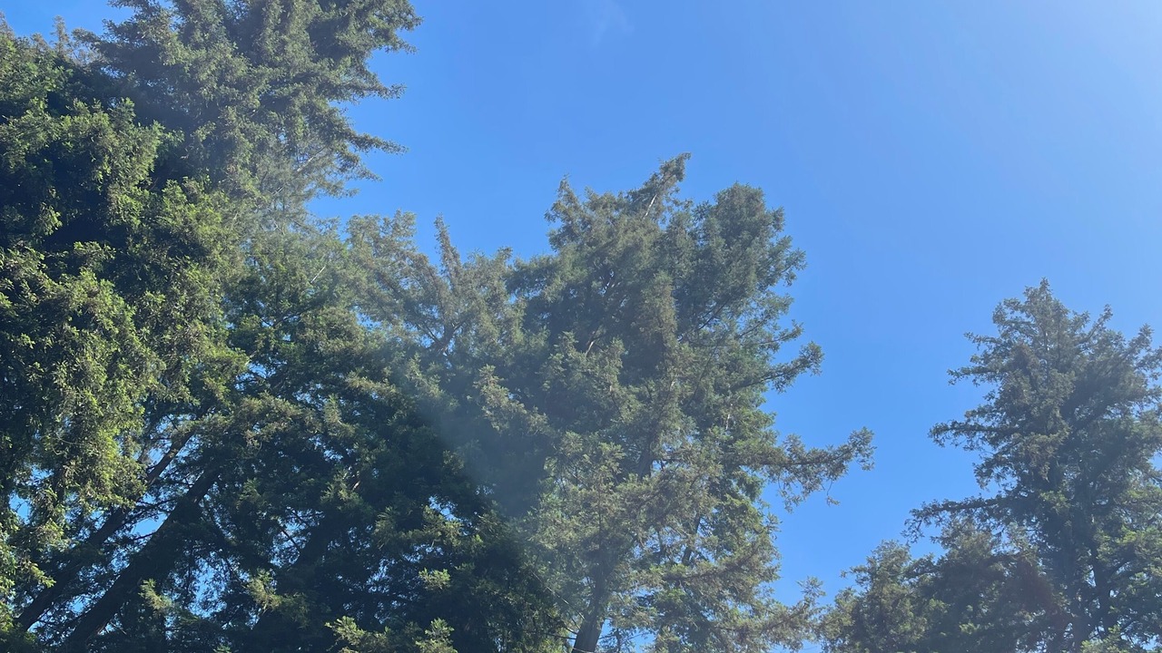 Photo of Others in Mount Hermon