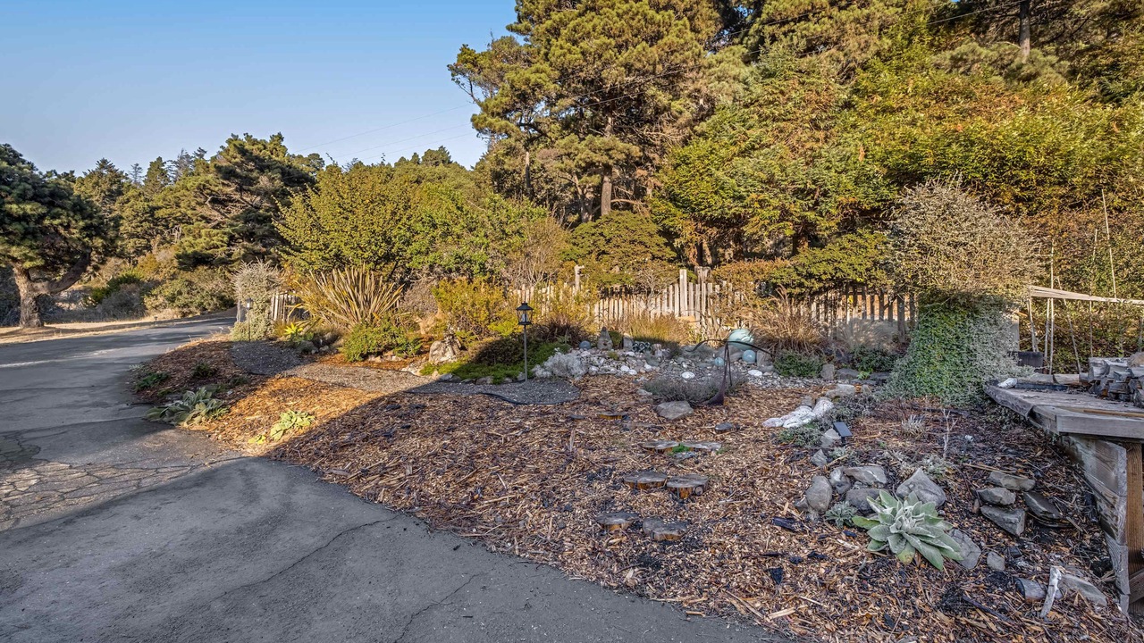 Photo of Others in Sea Ranch