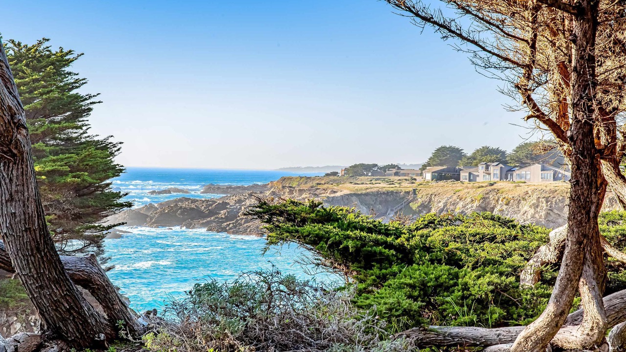 Photo of Others in Sea Ranch