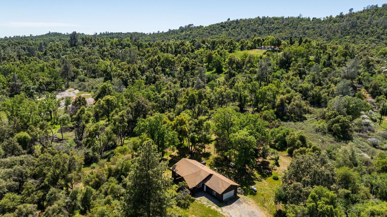 Photo of Outdoor in Mariposa
