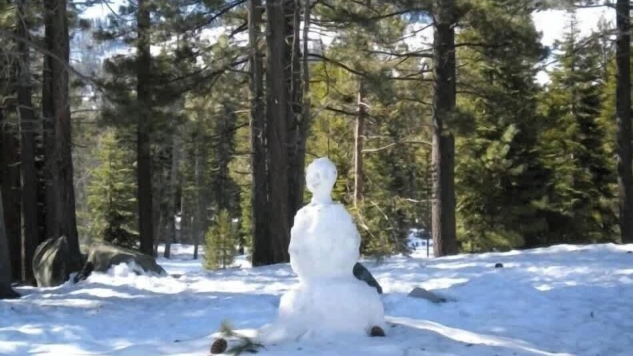 Photo of Others in Tahoe Paradise