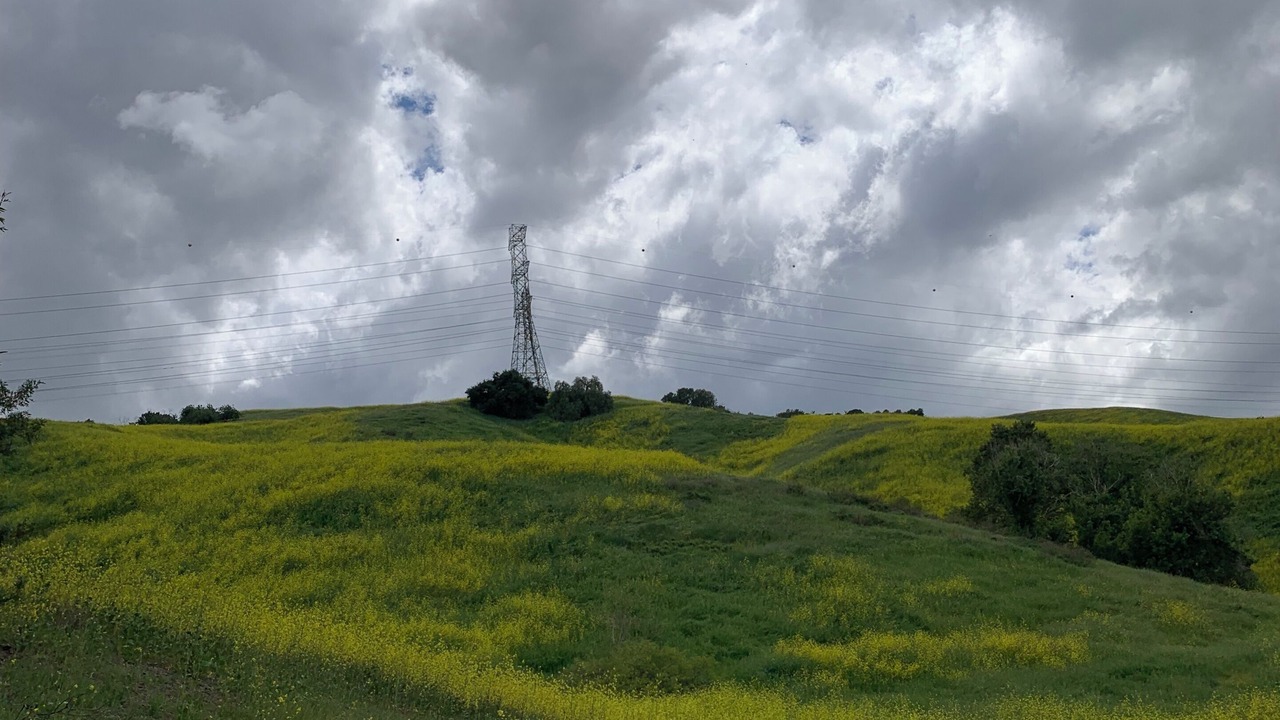 Photo of Others in Rowland Heights