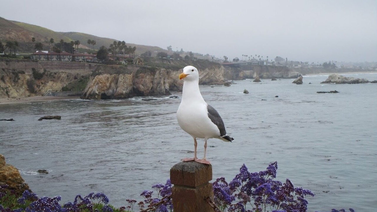 Photo of Others in Downtown