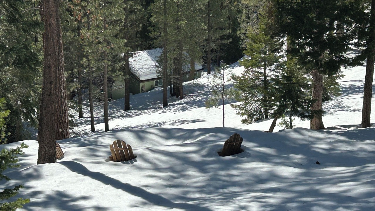 Photo of Outdoor in Ponderosa