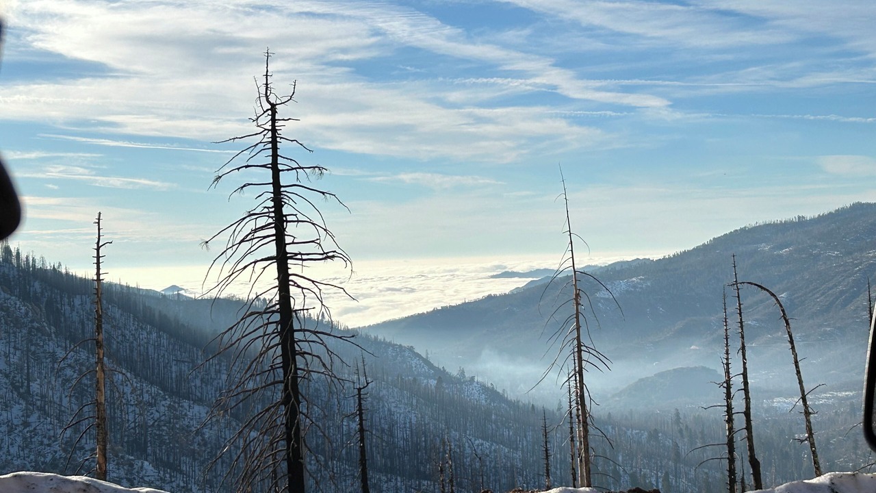 Photo of Others in Ponderosa