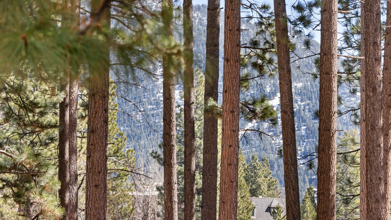 Photo of Others in Incline Village