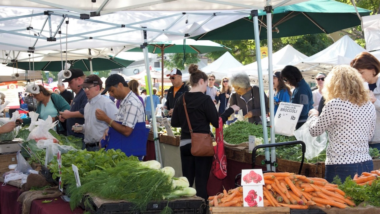 Photo of Others in Downtown