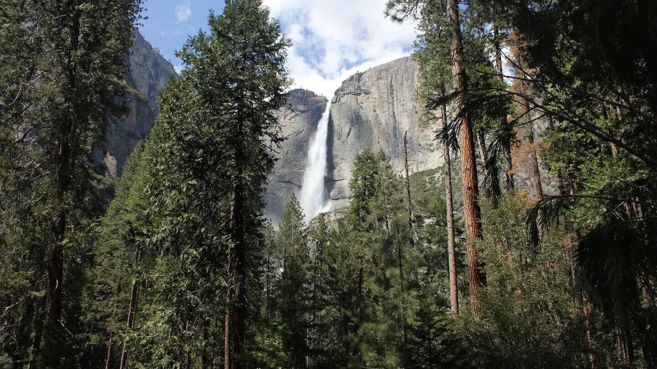 Photo of Others in Mariposa