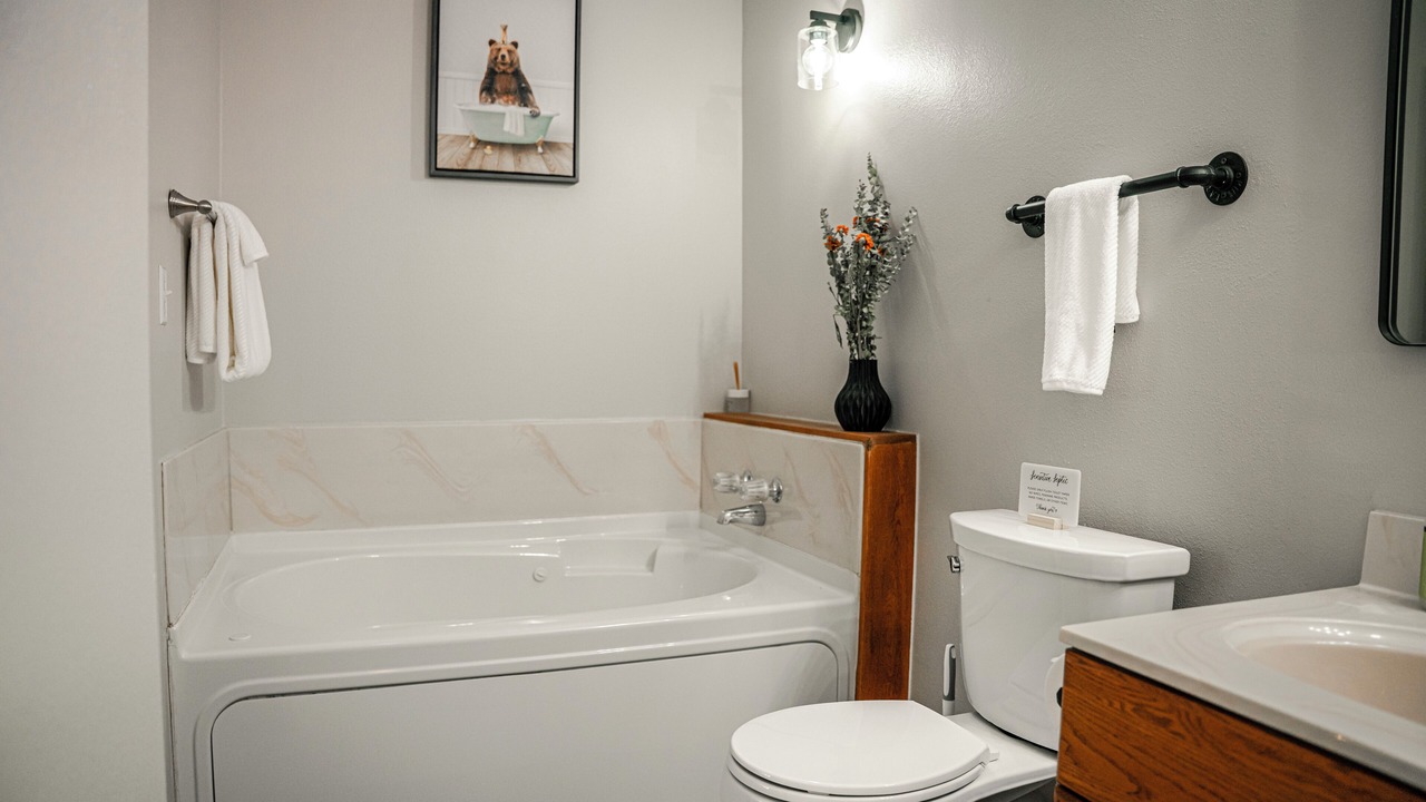 Photo of Bathroom in Three Rivers