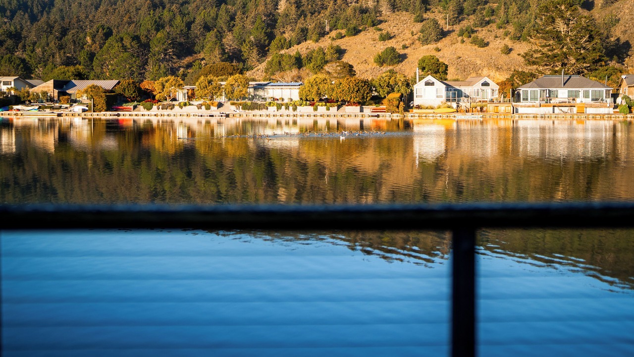 Photo of Others in Stinson Beach