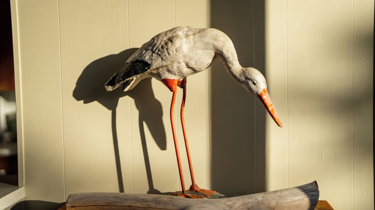 Photo of Others in Stinson Beach