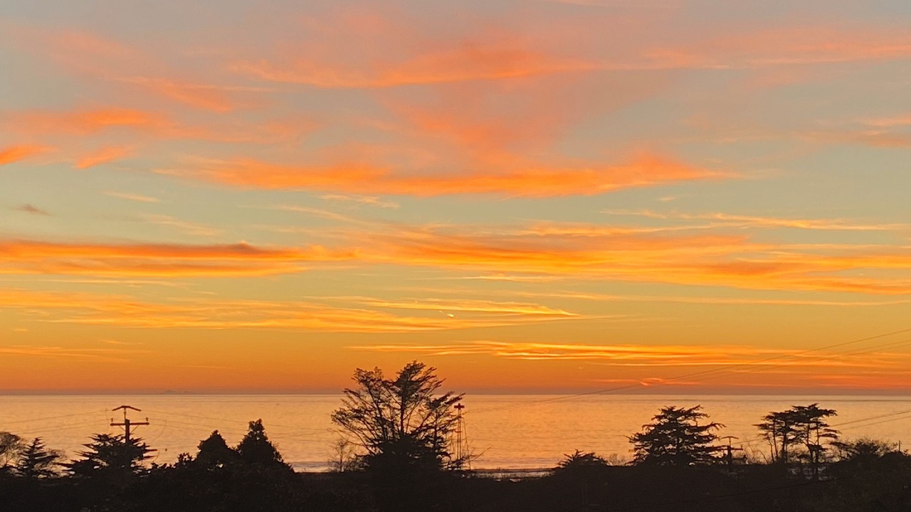 Photo of Others in Stinson Beach