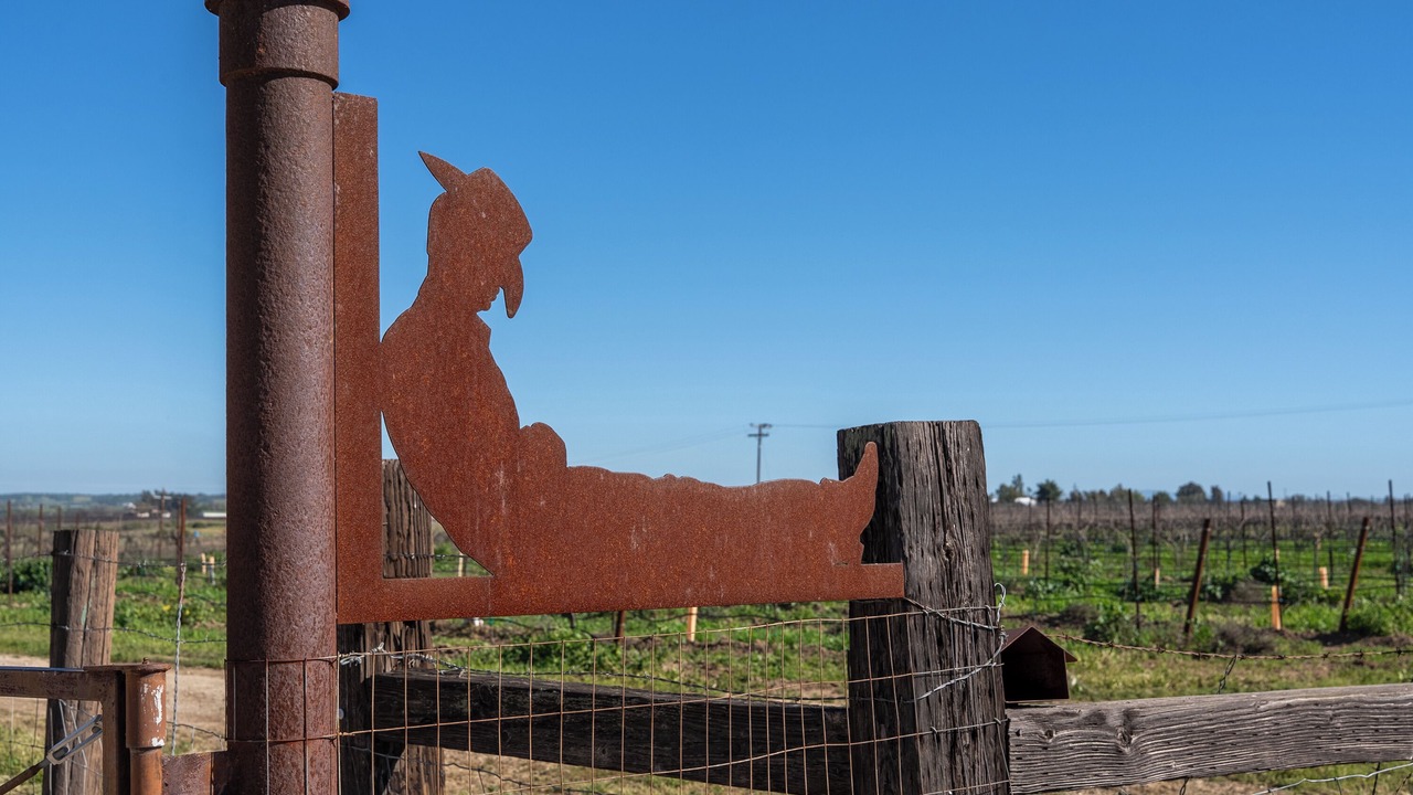 Photo of Others in Paso Robles