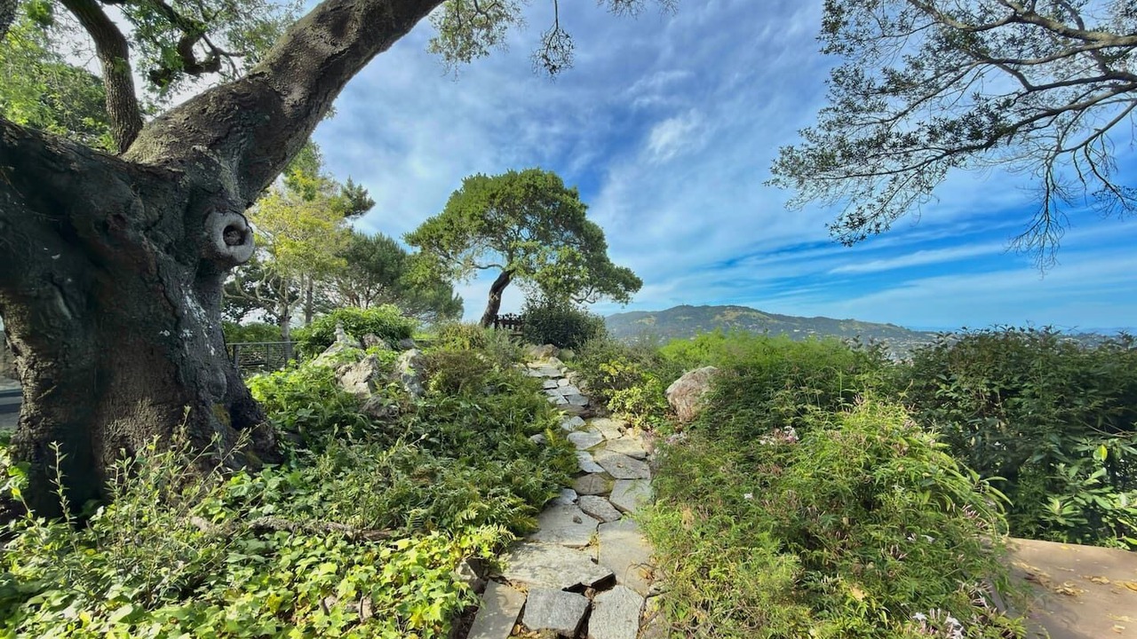 Photo of Outdoor in San Rafael