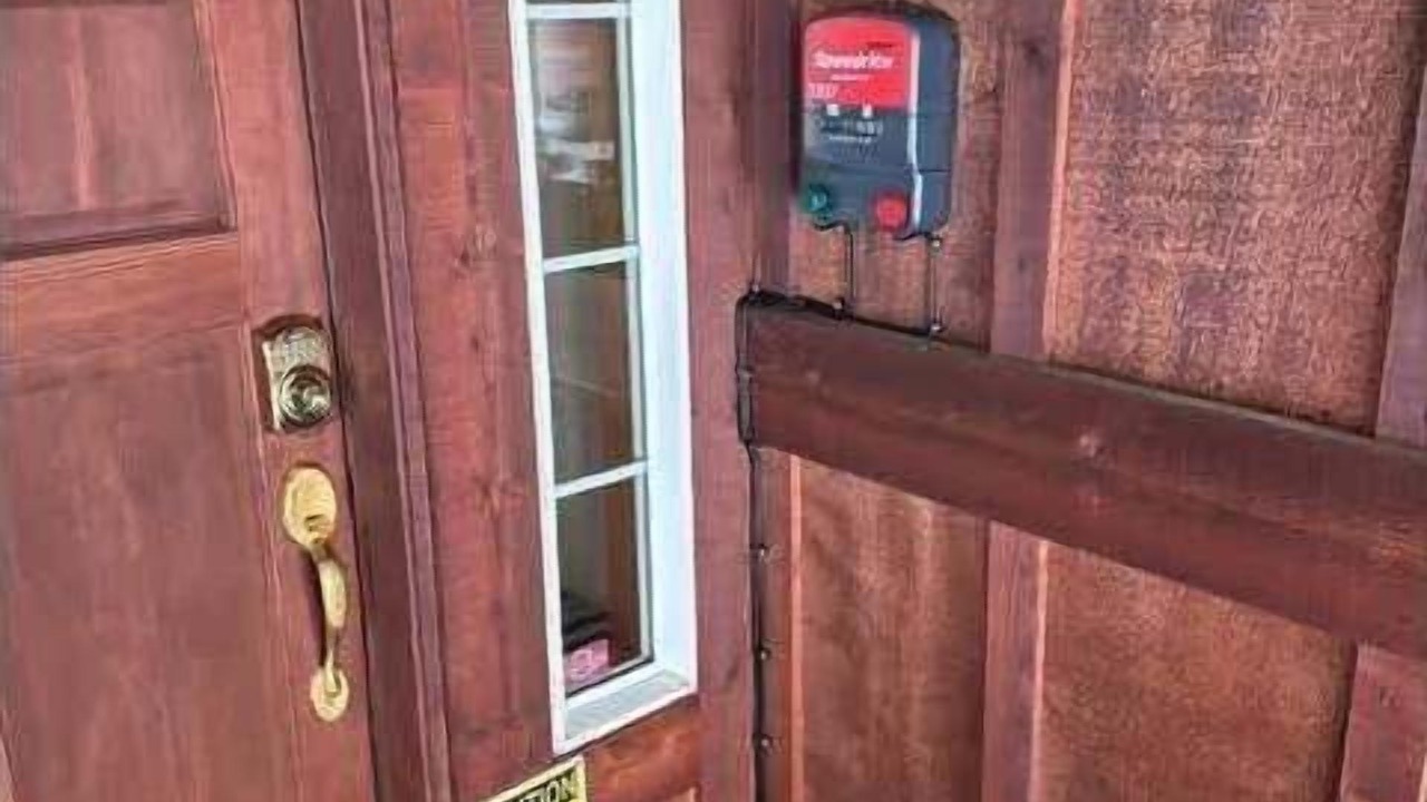 Photo of Outdoor in Tahoma