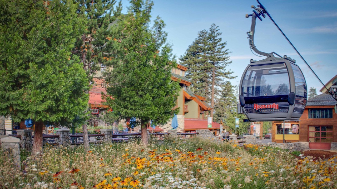 Photo of Others in Tahoe Village
