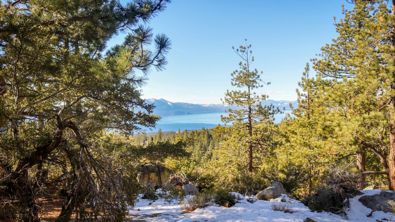 Photo of Others in Tahoe Village