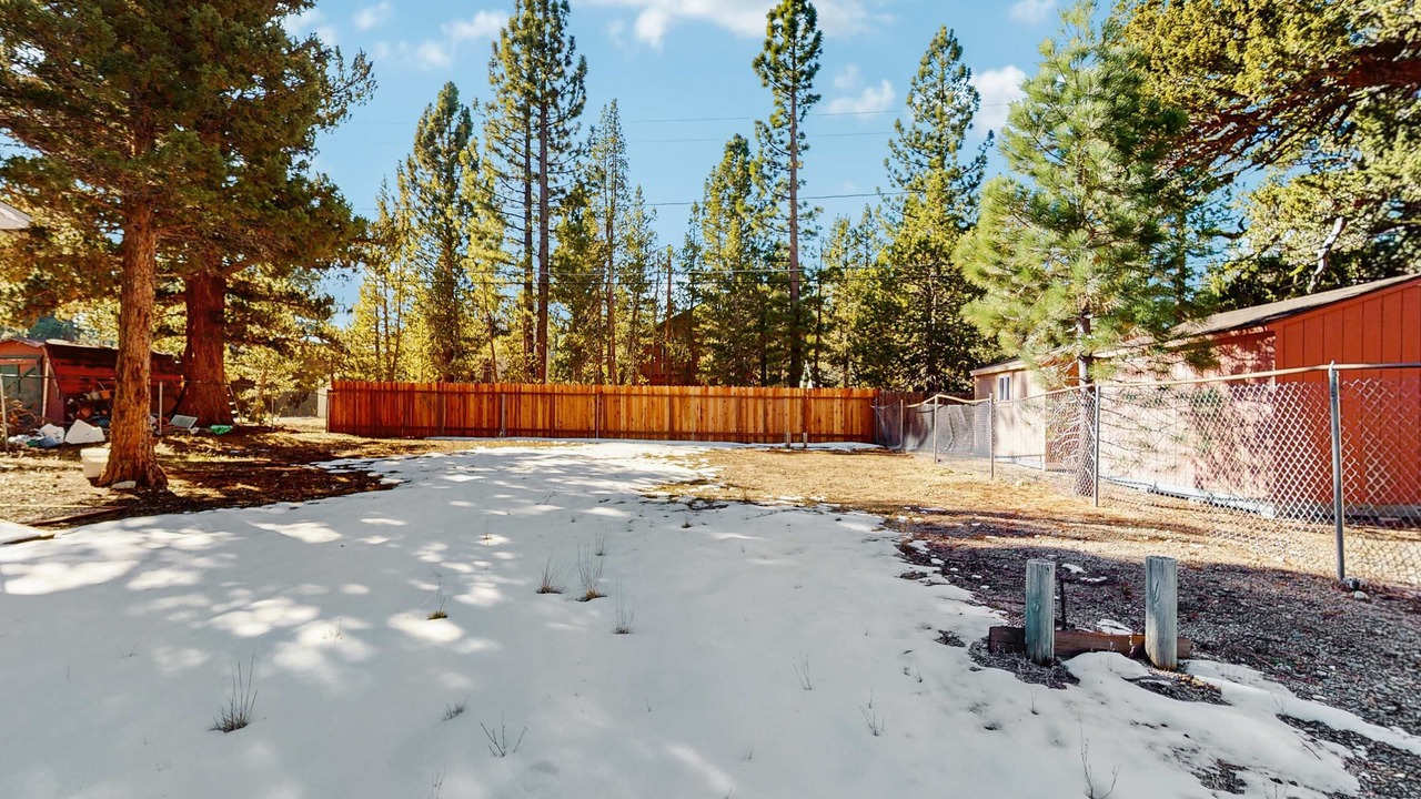 Photo of Outdoor in Tahoe Paradise