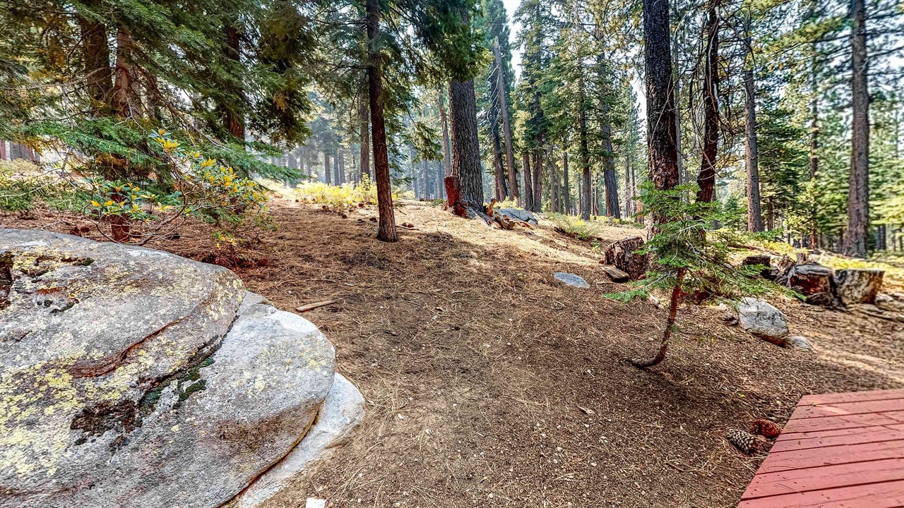 Photo of Outdoor in Tahoe Paradise