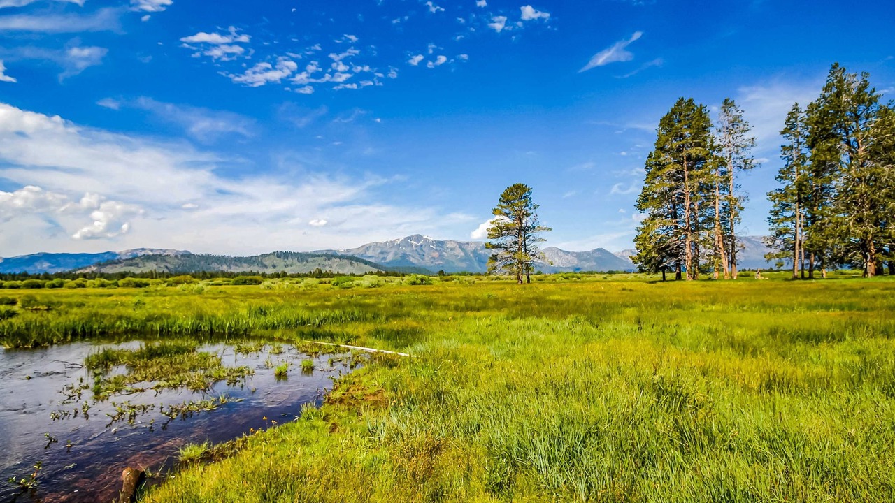 Photo of Others in South Lake Tahoe