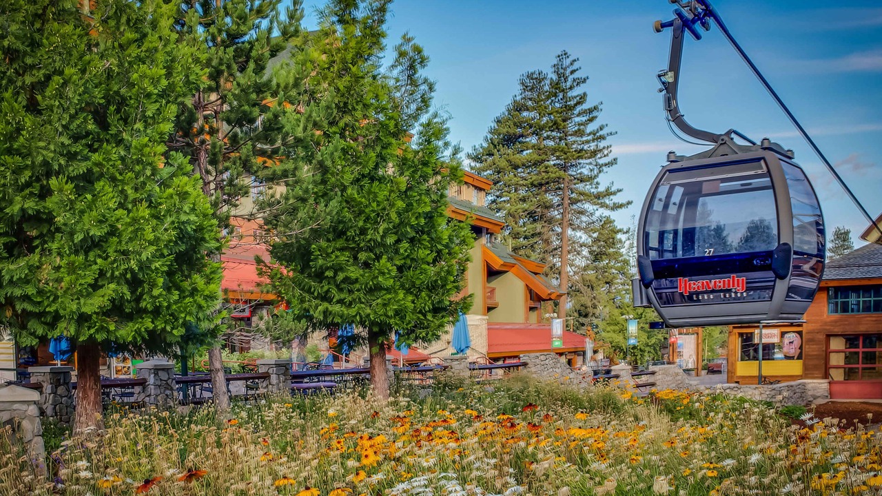 Photo of Others in South Lake Tahoe