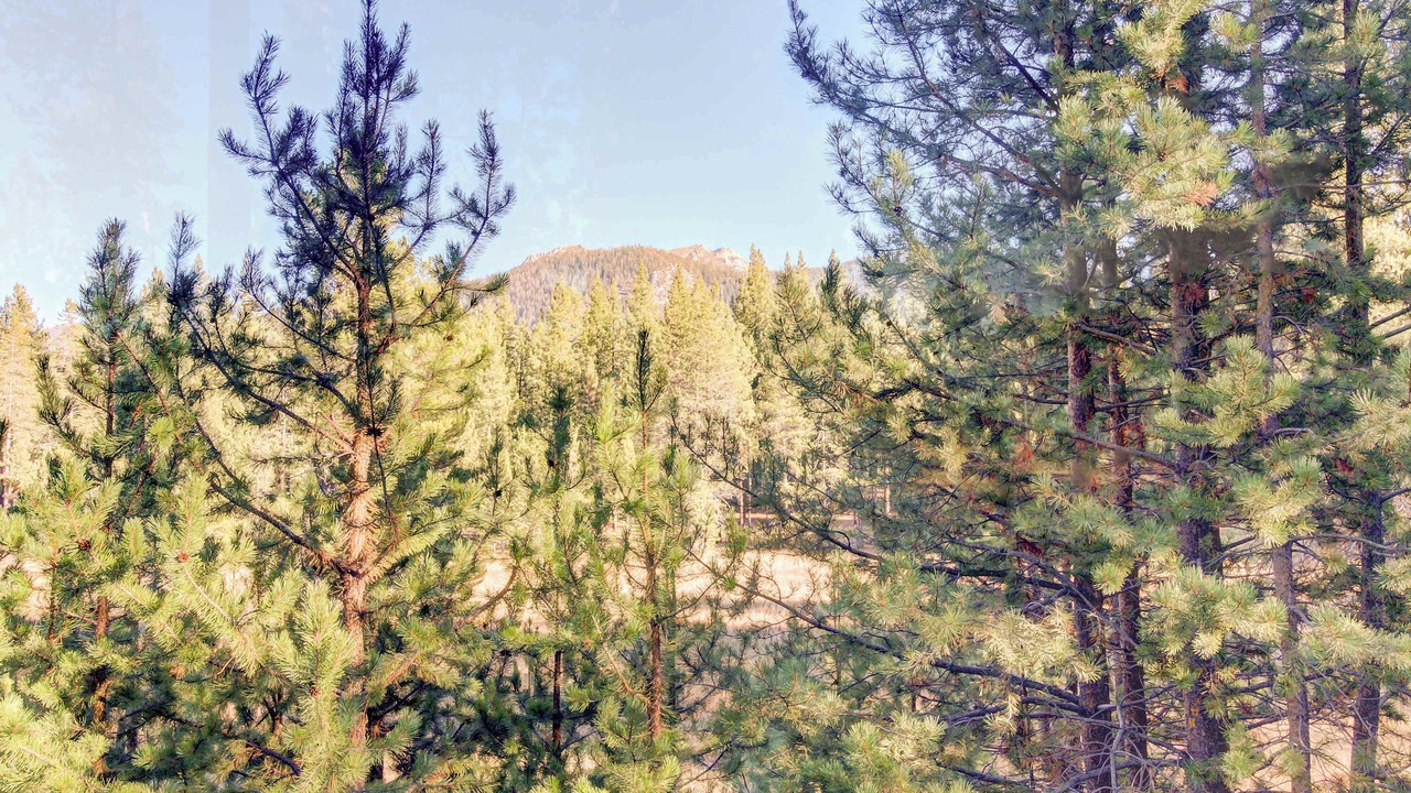 Photo of Others in Pioneer Trail