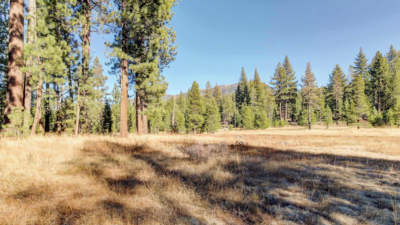 Photo of Others in Pioneer Trail