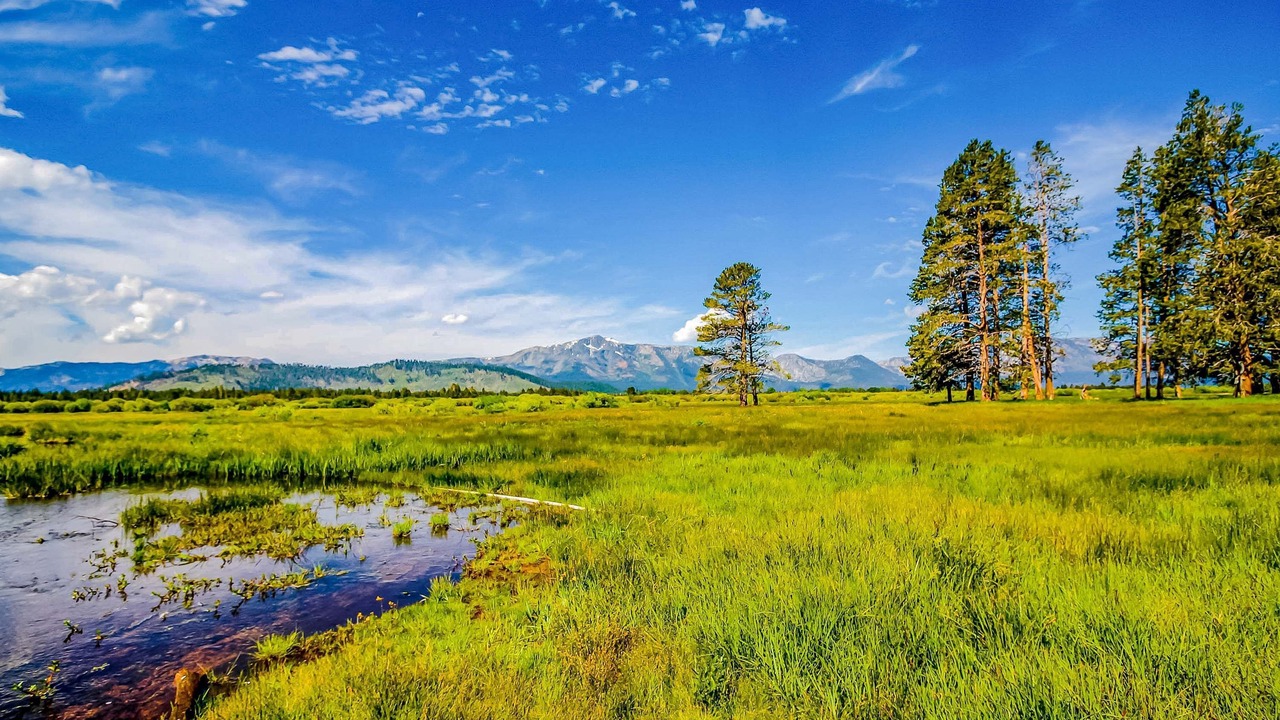 Photo of Others in South Lake Tahoe