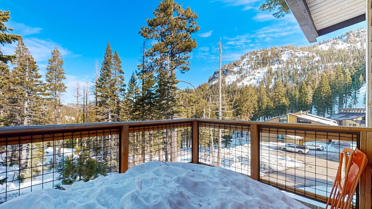 Photo of Outdoor in Alpine Meadows