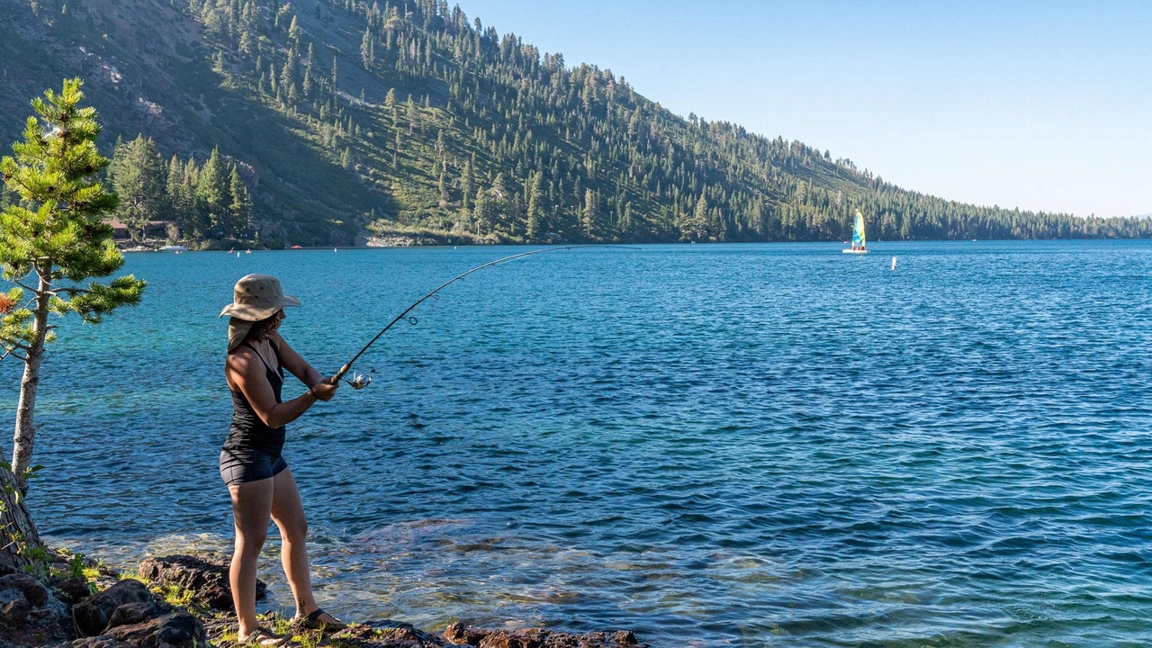 Photo of Others in Alpine Meadows